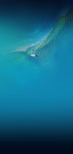 Wallpaper